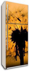 Samolepka na lednici fólie 80 x 200, 14129993 - dandelion in peaceful evening - pampeliška v klidném večeru