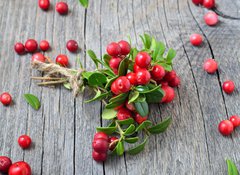 Samolepka flie 100 x 73, 141541258 - Bunch of red cowberry