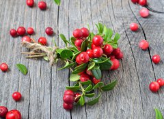 Samolepka flie 100 x 73, 141541258 - Bunch of red cowberry - Banda erven brusinky