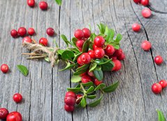 Fototapeta papír 160 x 116, 141541258 - Bunch of red cowberry - Banda červené brusinky