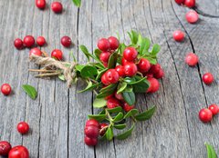 Fototapeta160 x 116  Bunch of red cowberry, 160 x 116 cm