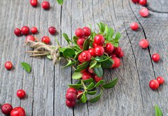 Fototapeta pltno 174 x 120, 141541258 - Bunch of red cowberry