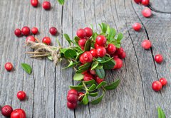 Fototapeta174 x 120  Bunch of red cowberry, 174 x 120 cm