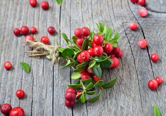 Fototapeta papr 184 x 128, 141541258 - Bunch of red cowberry