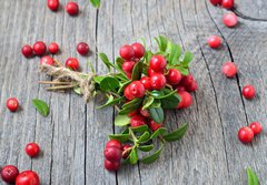 Fototapeta184 x 128  Bunch of red cowberry, 184 x 128 cm