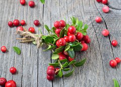 Samolepka flie 200 x 144, 141541258 - Bunch of red cowberry