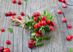 Fototapeta200 x 144  Bunch of red cowberry, 200 x 144 cm