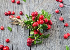Fototapeta papr 254 x 184, 141541258 - Bunch of red cowberry