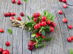 Fototapeta pltno 330 x 244, 141541258 - Bunch of red cowberry