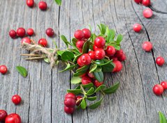 Fototapeta papr 360 x 266, 141541258 - Bunch of red cowberry