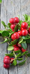 Samolepka na dveře fólie 90 x 220, 141541258 - Bunch of red cowberry - Banda červené brusinky