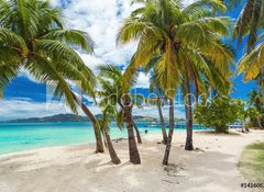 Samolepka flie 100 x 73, 141606224 - Tropical beach with coconut palm trees and lagoon on Fiji Islands - Tropick pl s kokosovmi palmami a lagunou na Fidi