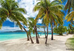 Fototapeta papr 184 x 128, 141606224 - Tropical beach with coconut palm trees and lagoon on Fiji Islands - Tropick pl s kokosovmi palmami a lagunou na Fidi