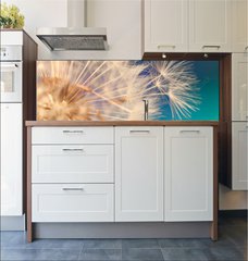 Fototapeta do kuchyn flie 180 x 60, 143134951 - white dandelion flower with seeds in springtime in blue turquoise abstract backgrouds