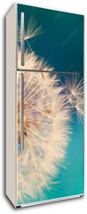 Samolepka na lednici flie 80 x 200, 143134951 - white dandelion flower with seeds in springtime in blue turquoise abstract backgrouds