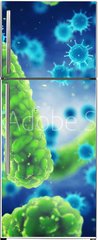 Samolepka na lednici flie 80 x 200, 143813734 - Pathogenic bacteria and viruses , Microscopic germs that cause infectious diseases , Viral and bacterial infection