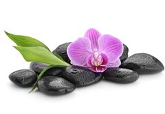 Samolepka flie 145 x 100, 144086994 - zen basalt stones ,orchid and bamboo - ediov kameny zen, orchidej a bambus