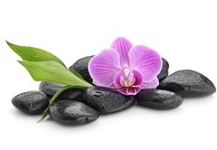 Fototapeta pltno 174 x 120, 144086994 - zen basalt stones ,orchid and bamboo