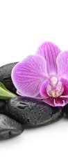 Samolepka na dveře fólie 90 x 220, 144086994 - zen basalt stones ,orchid and bamboo - čedičové kameny zen, orchidej a bambus