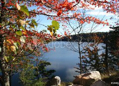 Fototapeta pltno 160 x 116, 1446226 - lakeview