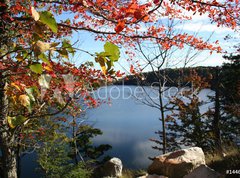 Samolepka flie 270 x 200  lakeview, 270 x 200 cm