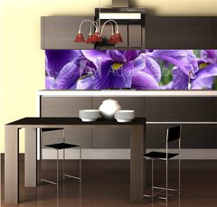 Fototapeta do kuchyn flie 260 x 60  Purple Flag Iris, 260 x 60 cm