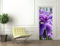 Samolepka na dvee flie 90 x 220  Purple Flag Iris, 90 x 220 cm