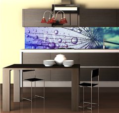 Fototapeta do kuchyn flie 260 x 60, 146436696 -  dandelion flower background