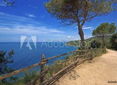 Fototapeta vliesov 100 x 73, 14698230 - Toscana, passeggiata sul mare