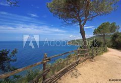 Fototapeta vliesov 145 x 100, 14698230 - Toscana, passeggiata sul mare