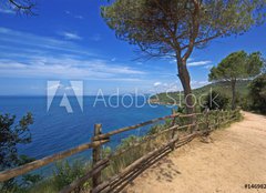 Fototapeta pltno 240 x 174, 14698230 - Toscana, passeggiata sul mare