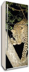 Samolepka na lednici flie 80 x 200  leopard, 80 x 200 cm