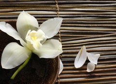 Samolepka fólie 100 x 73, 14760003 - bowl of orchid, petal on bamboo mat - miska orchideje, okvětní lístek na bambusové rohoži