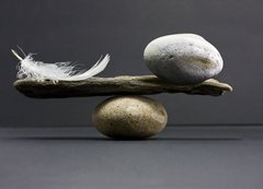 Samolepka flie 200 x 144  feather and stone balance, 200 x 144 cm
