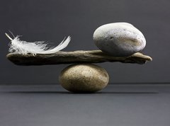 Samolepka flie 270 x 200  feather and stone balance, 270 x 200 cm