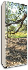 Samolepka na lednici fólie 80 x 200, 147965977 - Panoramic view of Oak Alley Plantation, Louisiana - Panoramatický výhled na Oak Alley Plantation, Louisiana