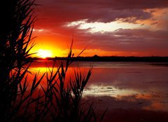 Fototapeta160 x 116  Sunrise on like, 160 x 116 cm