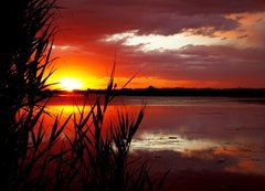 Samolepka flie 200 x 144  Sunrise on like, 200 x 144 cm