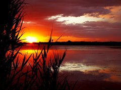 Samolepka flie 270 x 200  Sunrise on like, 270 x 200 cm