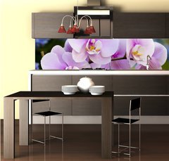 Fototapeta do kuchyn flie 260 x 60, 14941045 - Pink Orchid Flowers