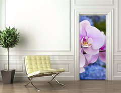 Samolepka na dvee flie 90 x 220  Pink Orchid Flowers, 90 x 220 cm