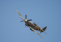 Fototapeta pltno 174 x 120, 149753196 - spitfire in the skies