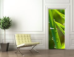 Samolepka na dvee flie 90 x 220  leaf with dew, 90 x 220 cm