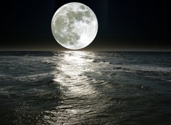 Fototapeta100 x 73  moon, 100 x 73 cm