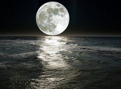 Fototapeta360 x 266  moon, 360 x 266 cm