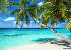Fototapeta papr 184 x 128, 151007285 - coco palms on tropical paradise beach with turquoise blue water and blue sky - kokosov palmy na pli tropickho rje s tyrkysov modrou vodou a modrou oblohu