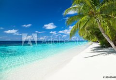 Fototapeta pltno 174 x 120, 151010448 - coco palms on tropical paradise beach with turquoise blue water and blue sky