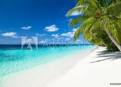 Fototapeta pltno 240 x 174, 151010448 - coco palms on tropical paradise beach with turquoise blue water and blue sky