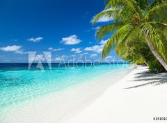 Samolepka flie 270 x 200, 151010448 - coco palms on tropical paradise beach with turquoise blue water and blue sky