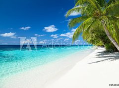 Fototapeta pltno 330 x 244, 151010448 - coco palms on tropical paradise beach with turquoise blue water and blue sky